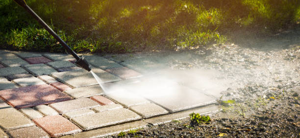 Best Animal Enclosure Cleaning  in Battle Creek, MI